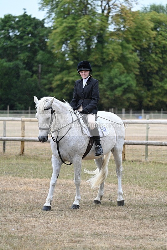 WJ7_0799 - Class 7 Riding Club Show Horse