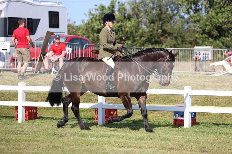 3E7A5800 - Class 3: Rising Star S/L Hunter