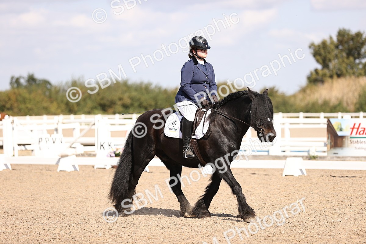 SBM_03522 - CLass 35 Intro 3