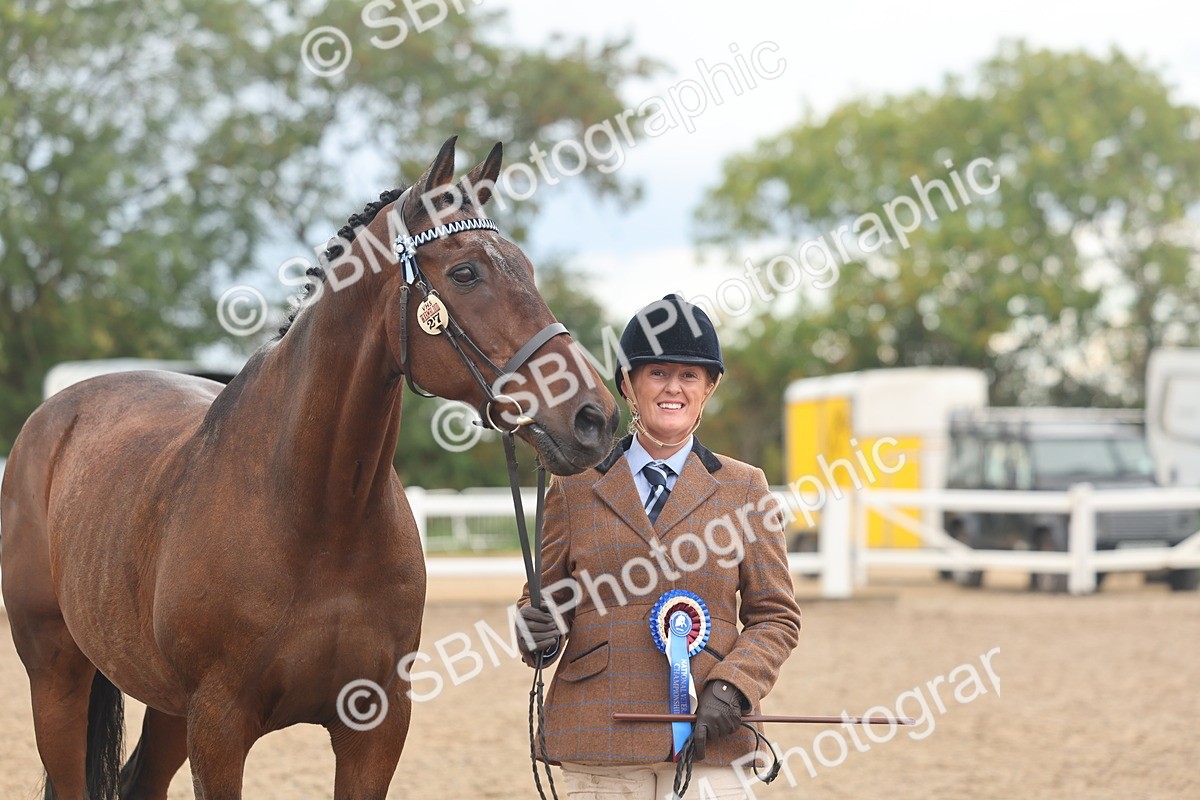 SBM_07835 - Class 27 - IH Competition Horse/Pony