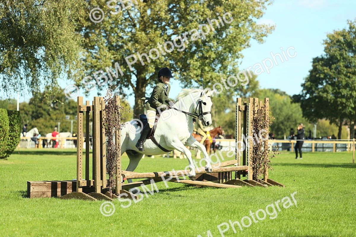 SBM_39171 - S29 - Novice & Newcomers Working Hunter Pony
