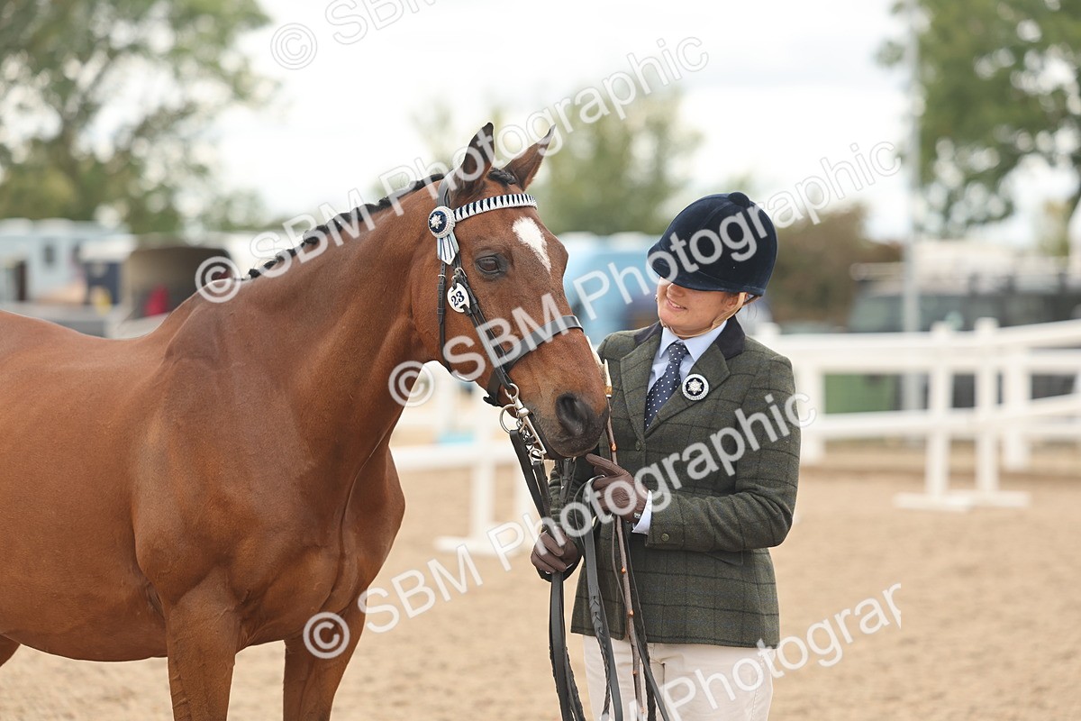 SBM_17114 - Class 313 - IH Retired Racehorse