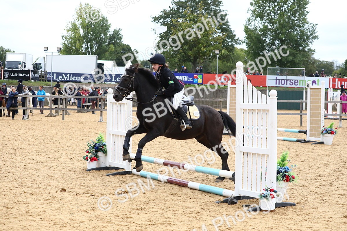 SBM_68217 - J3b - Mini Tour Junior Pony 40cm Championship