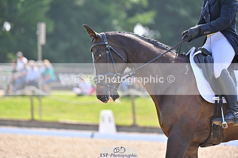 250523A-160707-08171 - A-060-Sophie.Wildern-CARTOON.HERO