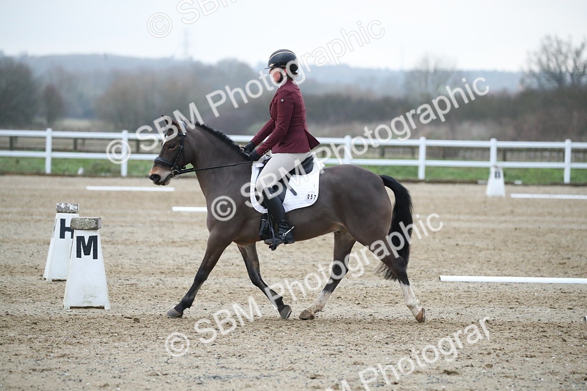 SBM_004866 - Novice 3