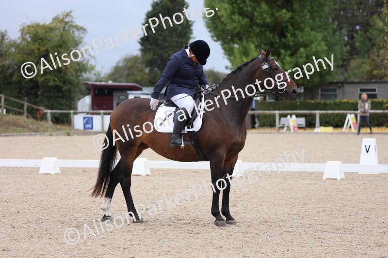 20250820-0094 - Class 7 - My Quest Intro 3