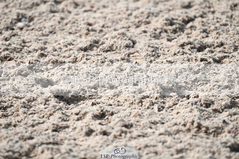 250309-134052-04578 - Cls 27-29 Club and Schools 1m and 1.10m