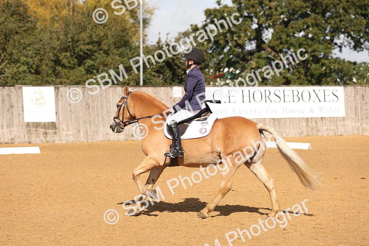 SBM_37687 - D18 - Grand Tour Championship Novice 2