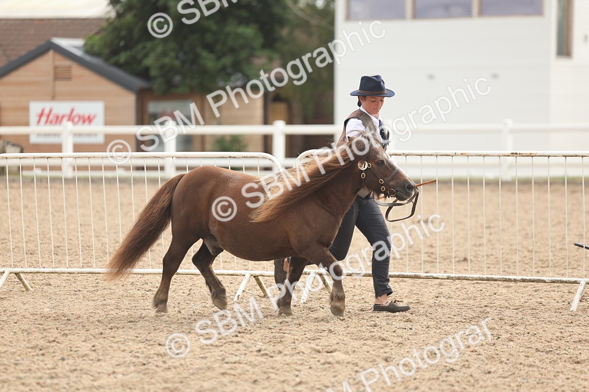 SBM_03168 - Class 16 - IH M&M Wildcard