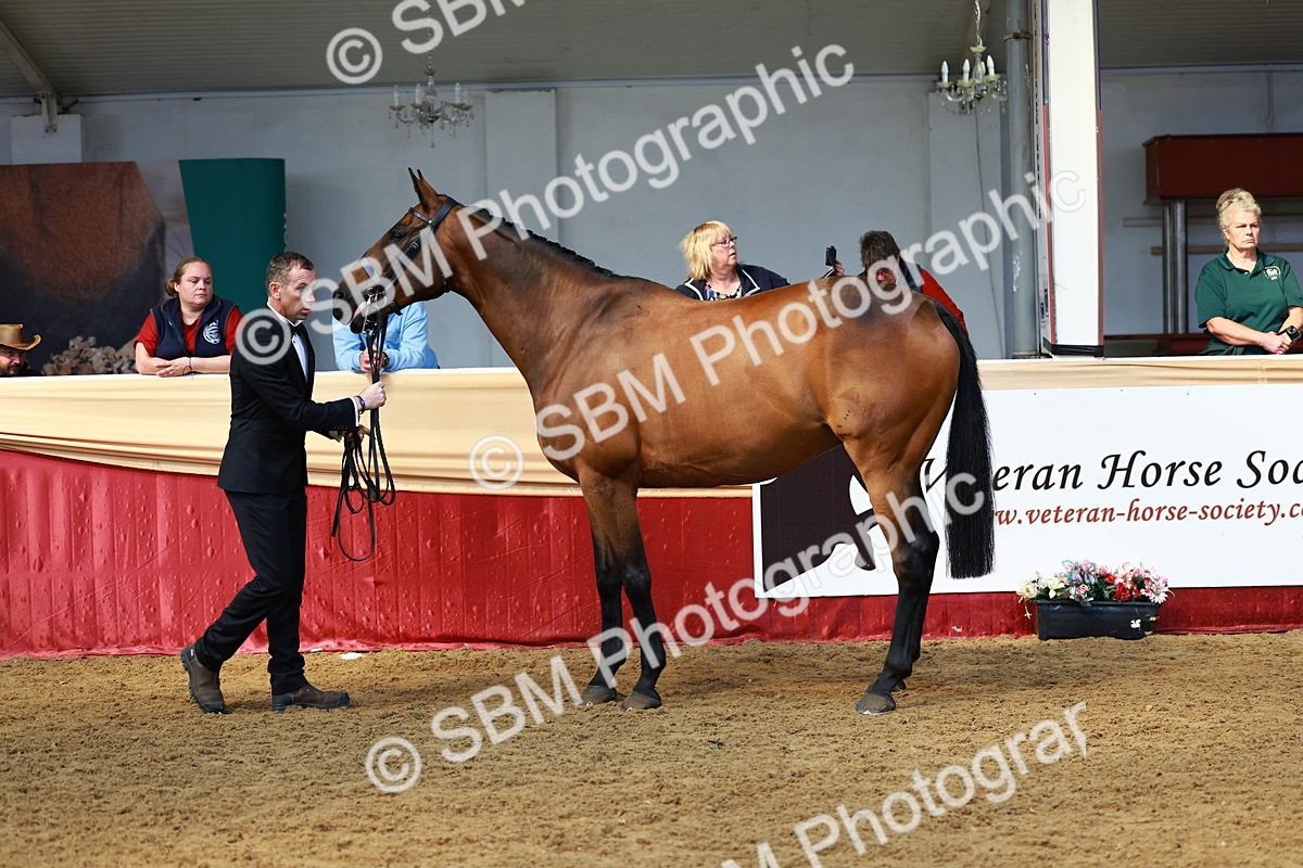 SBM_23263 - Class 903 - Supreme Final - IH Pre Vet