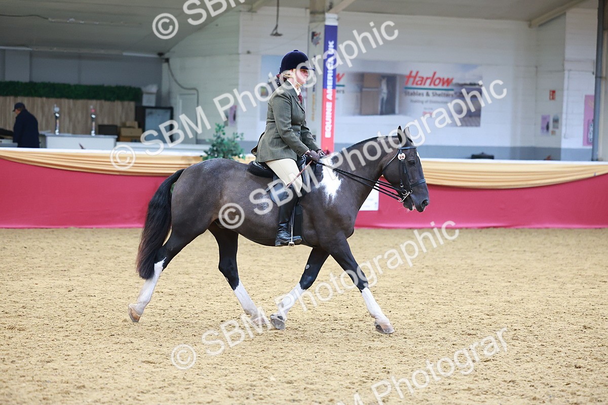 SBM_06155 - Class 12R - Ridden Pre-Vet