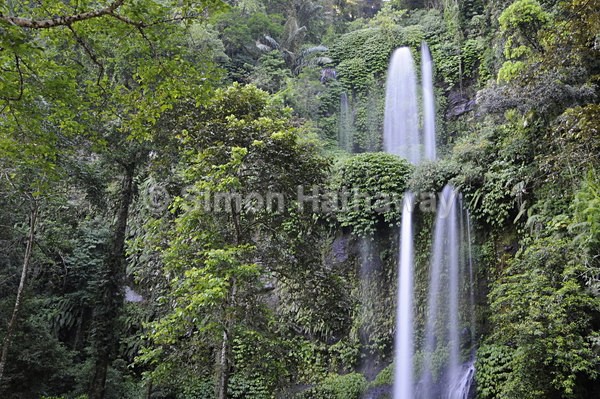  - Indonesia