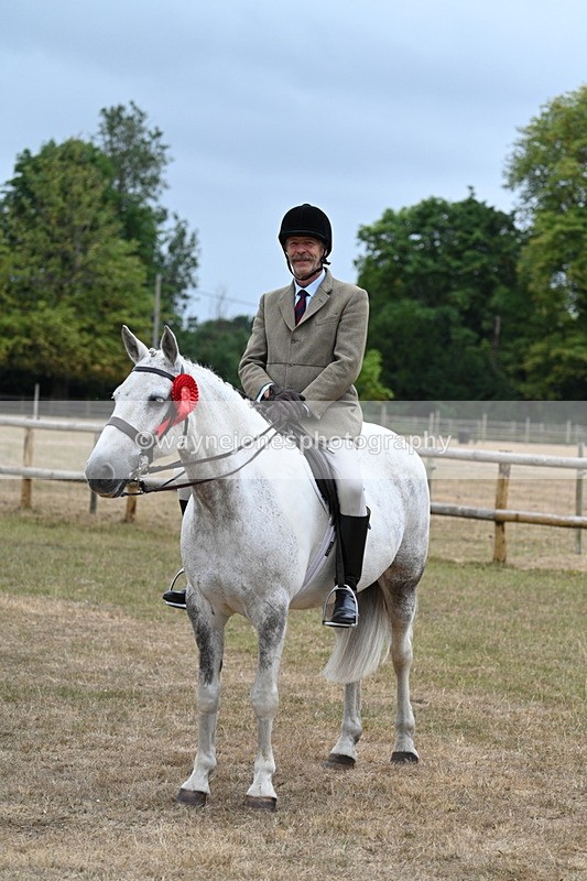 WJ7_0978 - Class 7 Riding Club Show Horse
