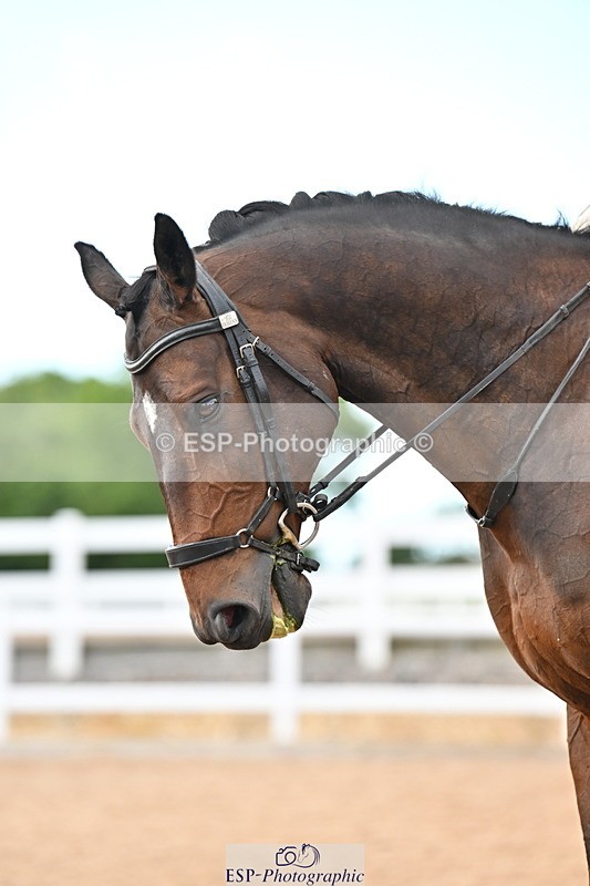 240622A-182723-15574 - Cls 7B+C Elementary 44 RoR