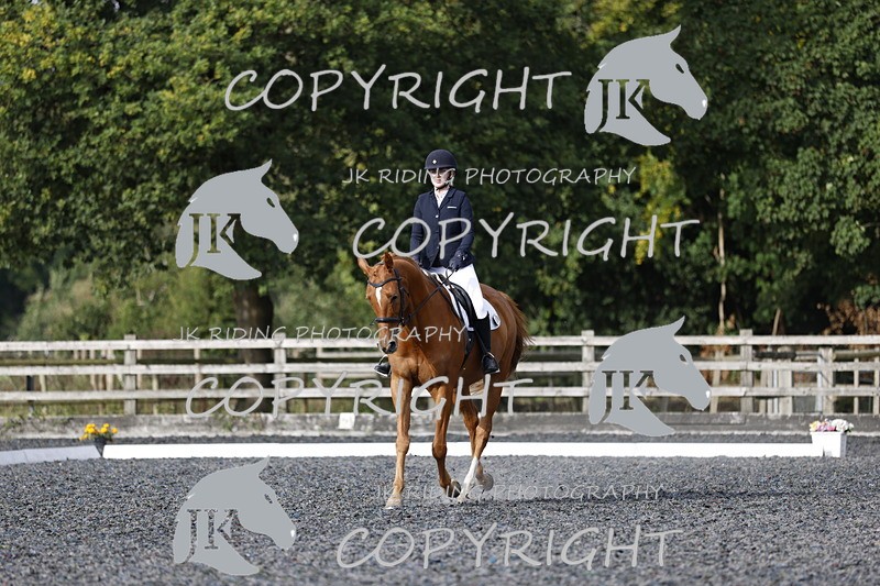 _R6A6968 - INTRO 3