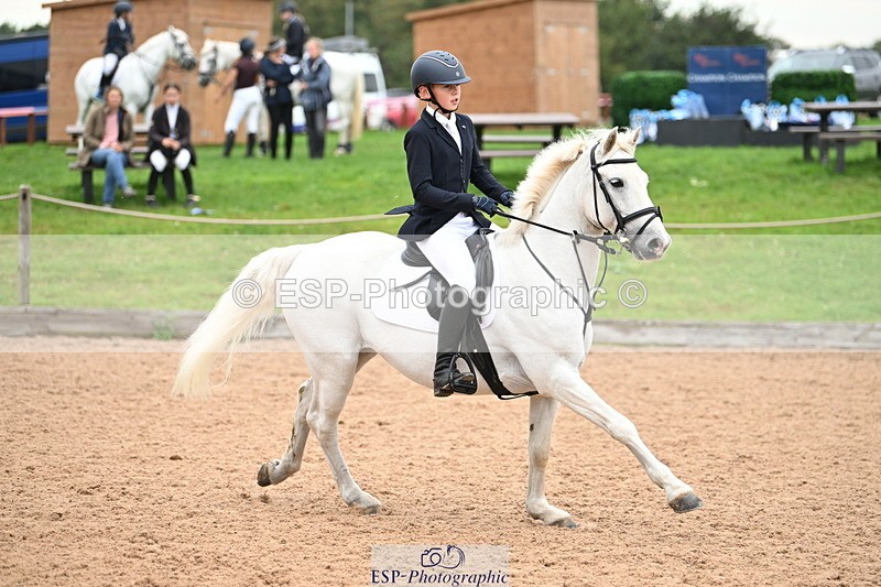 240907A-131512-01932 - Cls 3 Pony Medium Team 80cm & 90cm
