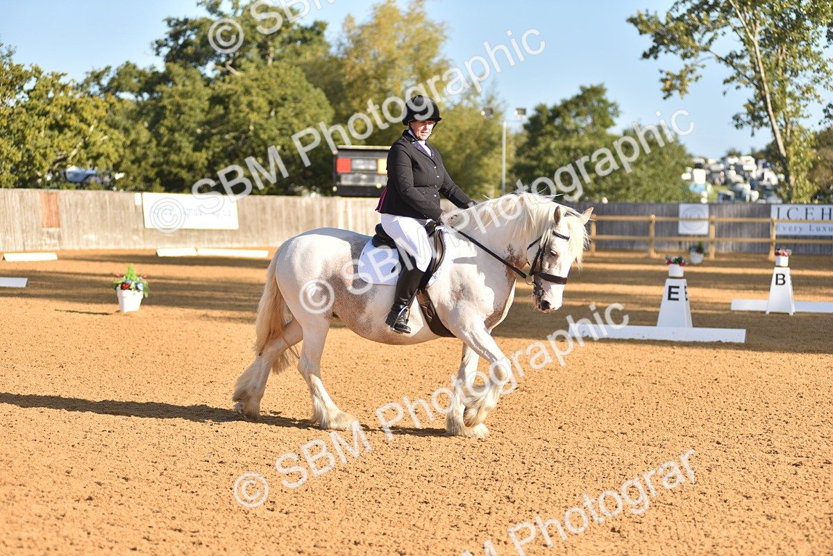 SBM_15733 - D4 - Small Tour Championship Intro 4