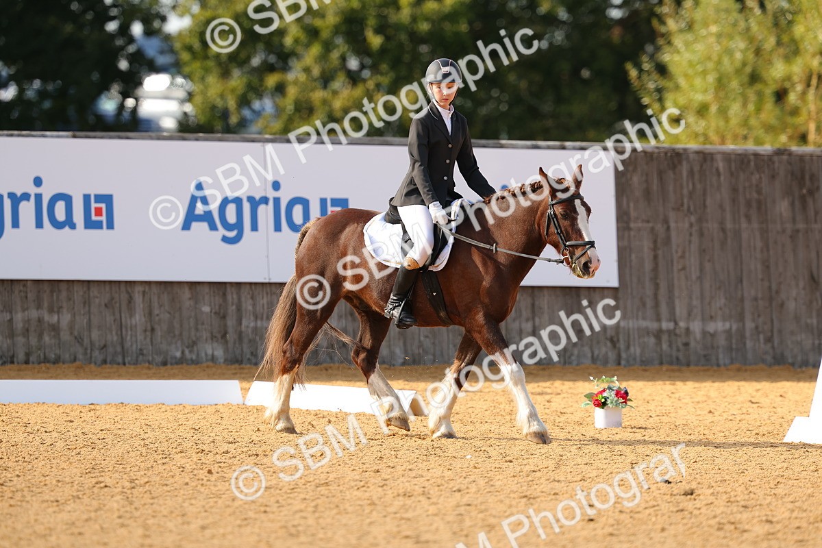 SBM_49641 - D22 - Junior Championship - Intro B