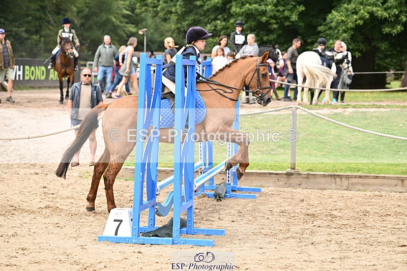240822X-110804-04563 - 50cm R2 11 to 12