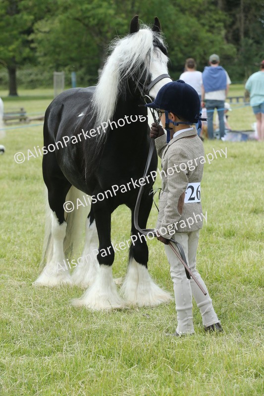 20260614-4304 - Class 18 - Best Junior Handler