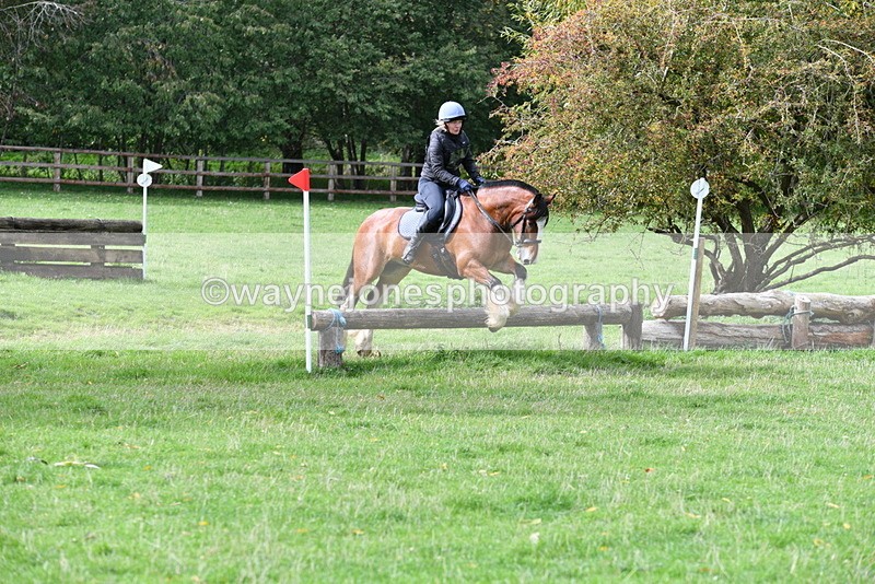 WJ5_9421 - Time 13:03 to 13:25