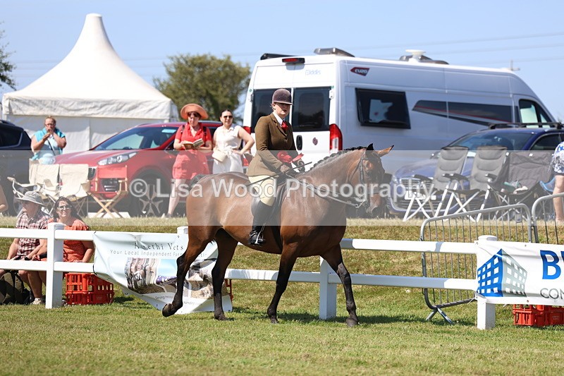 3E7A7463 - Rising Star Ridden Championship