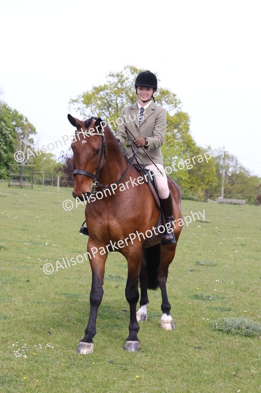 20260426-4381 - Class 34 - Best Riding Horse Over 14.2hh