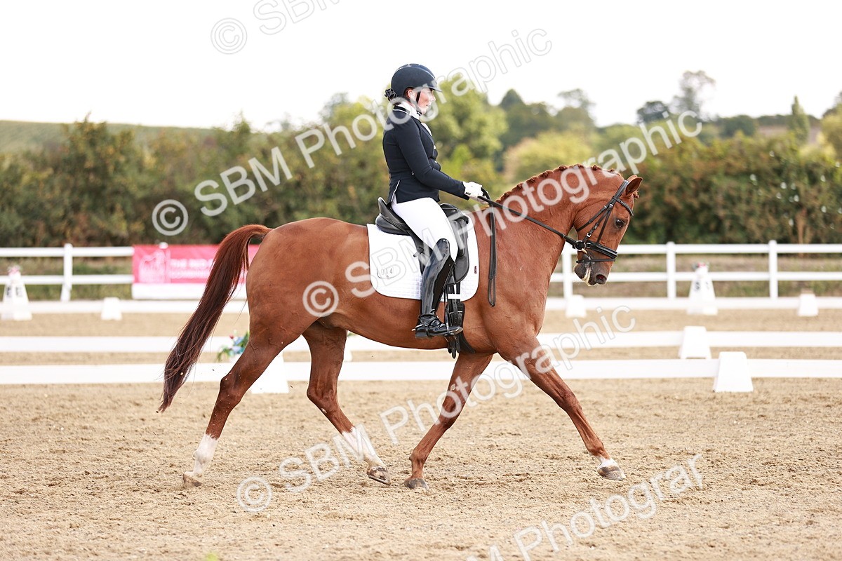 SBM_017671 - Class 11 - Advanced Medium 6