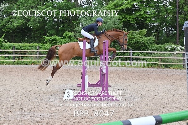 BPP_8047 - CLASS 11 SUN Senior BritiNovice/ 90cm Open