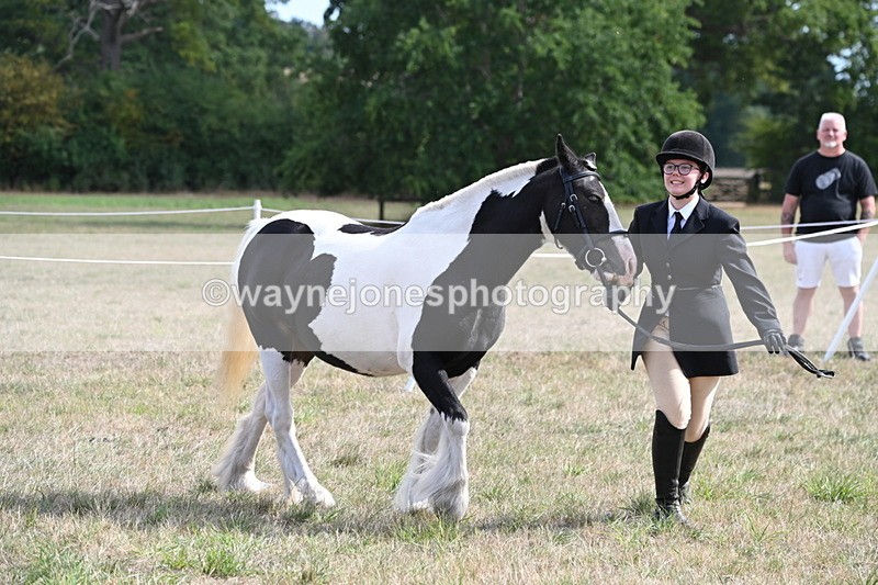 WJ6_6624 - Class 20 In-hand Cob