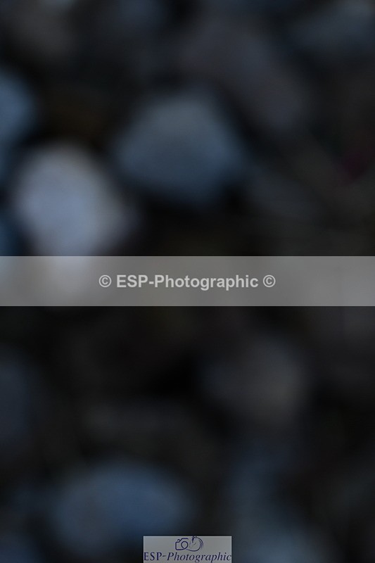 240107A-110811-01265 - UnAff Prelim 7