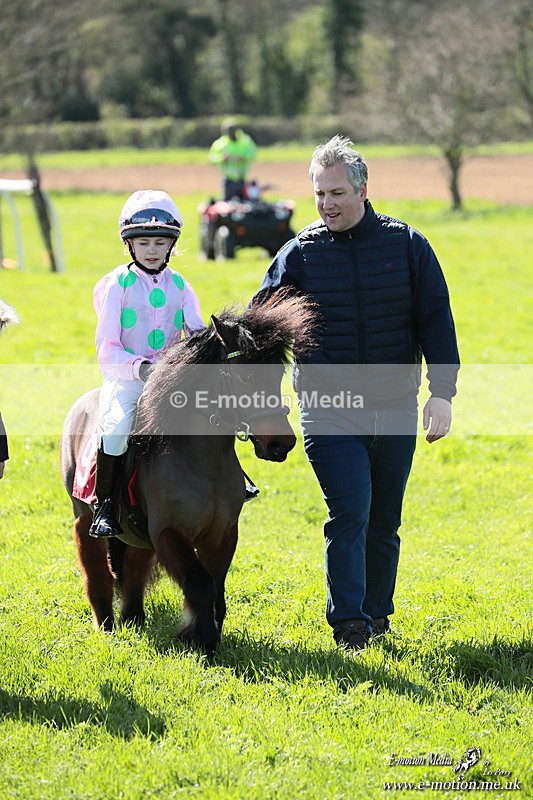 Shet 060426 379 - Shetland Pony Racing Paxford Races Easter Mon 06/04/26