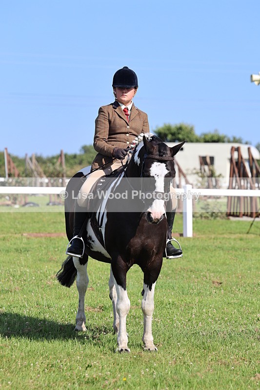 IMG_1672 - Skewbald and Piebald Ridden Championship
