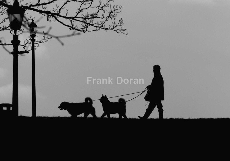 Primrose Hill - 2 - Frank Doran