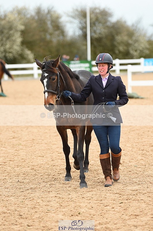 230416A-135756-04707 - Cls 46+43 In Hand Warmbloods and Foreign