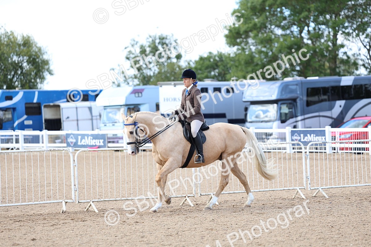 SBM_11207 - Class 306 - Ridden Foreign Breeds - Part Bred