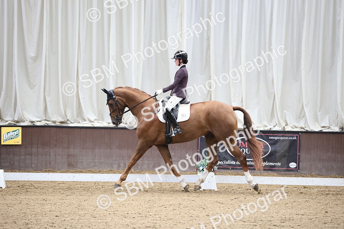 SBM_002806 - Class 5 - Novice 6 Gold - 10.24-11.30