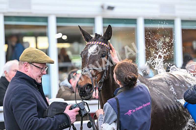 240226-Race 6-Dillarchie-7640 - Race 6