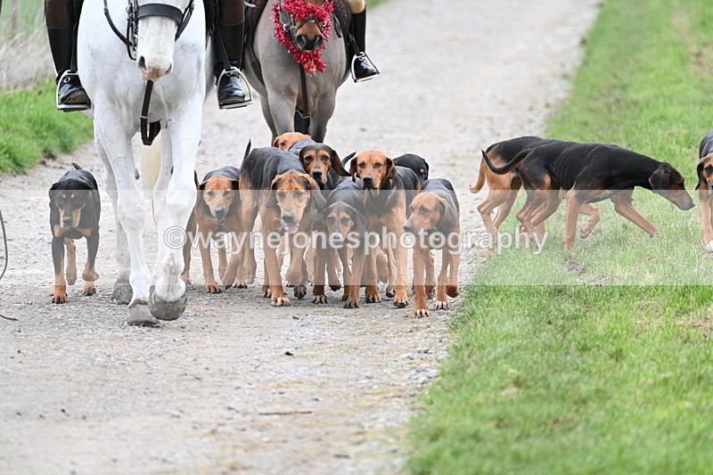 WJ7_1194 - Walk Home