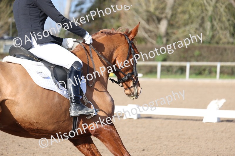 20260128-0326 - Class 3 - Novice 4