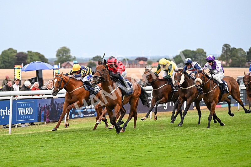 040725-Race 6-Sunny Orange-6096 - Race 6