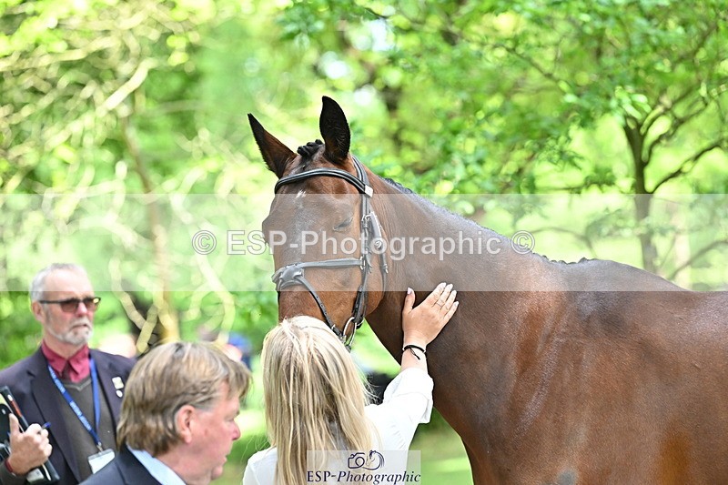 250521A-151703-00400 - B-325-Kat.Raybould-MONBEG.SHELBY