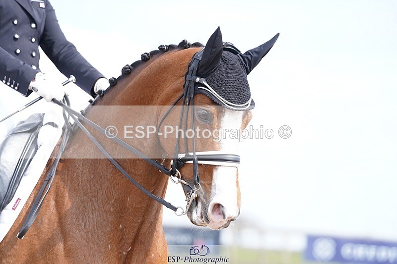 250403-135412-02793 - 029-Charlotte.Dicker-Catherston.Timeless