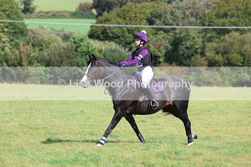3E7A6558 - Class 1: Trebudannon Open: Pheasant Feeder