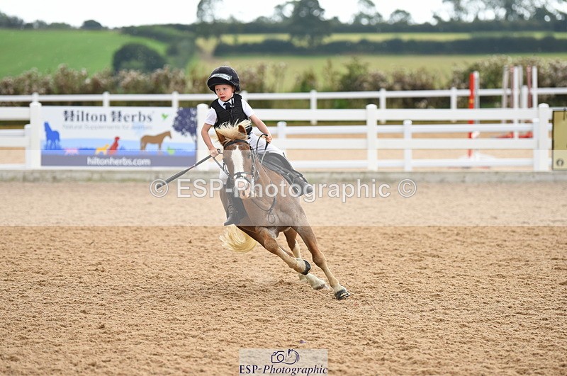 230815A-161116-00145 - 60cm