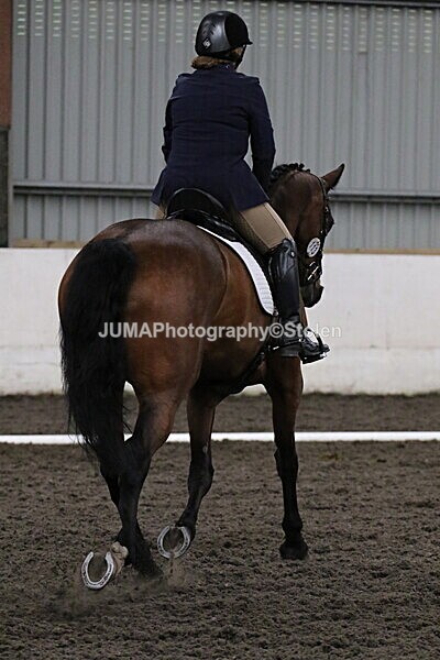 SIAL4436 - CAbin Dressage 5th july 2025