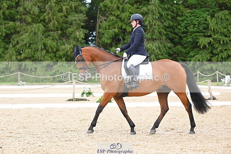 230813-132617-07565 - Cls 13 Medium Bronze 13.15 to End