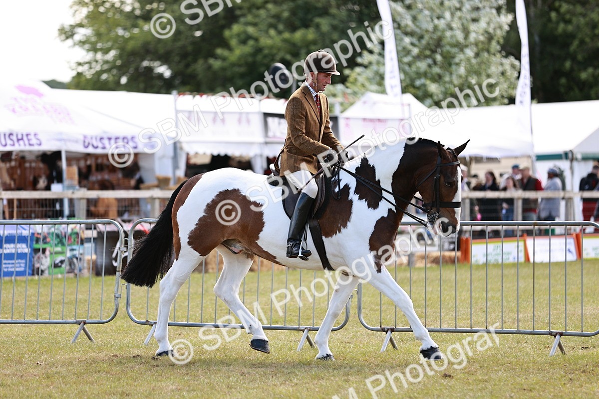 SBM_14007 - Class 85-87 - RIHS Cobs