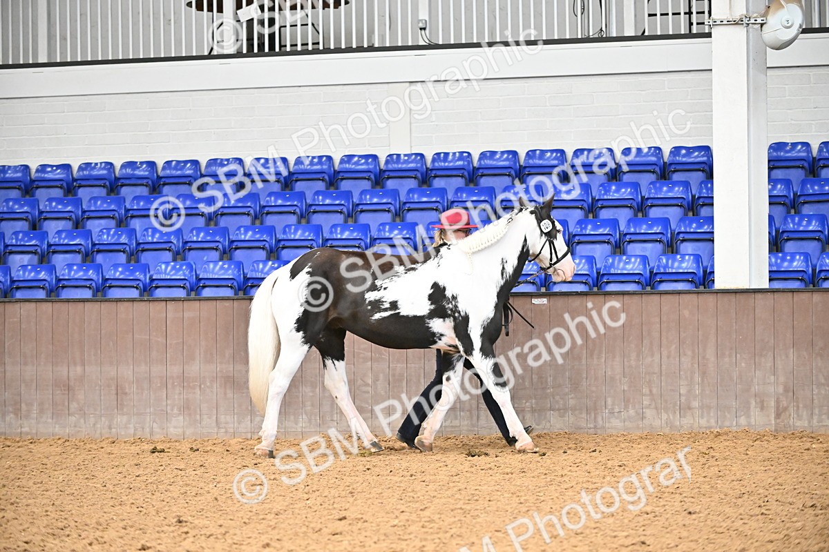 SBM_000284 - Class 10 - In Hand Coloured & Odd Coloured