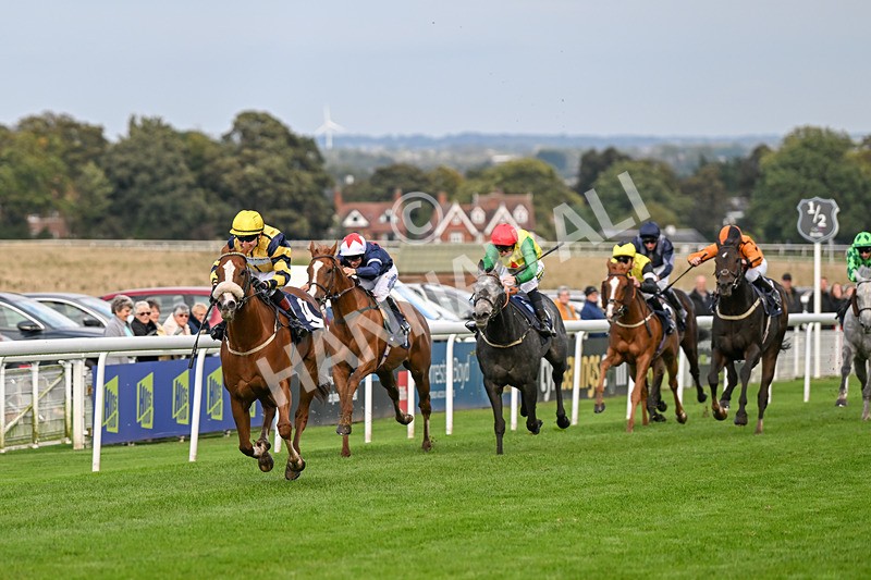 240924-Race 6-Captain Corelli-6675 - Race 6